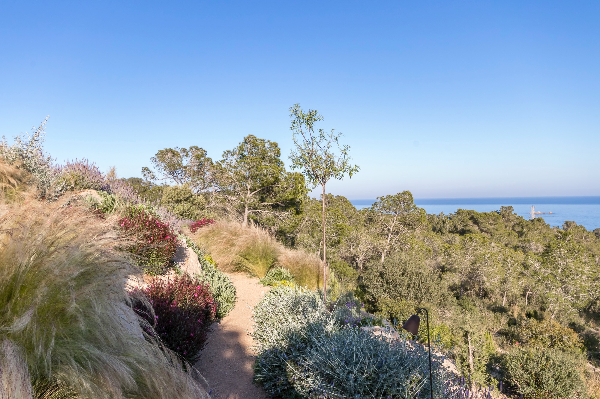 Pathways leading to beach or hiking options