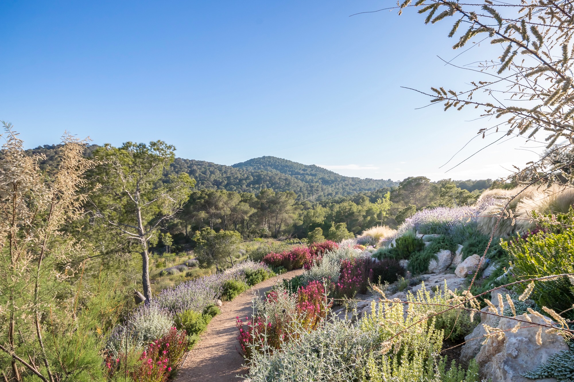 Landscaped gardens with seasonal planting