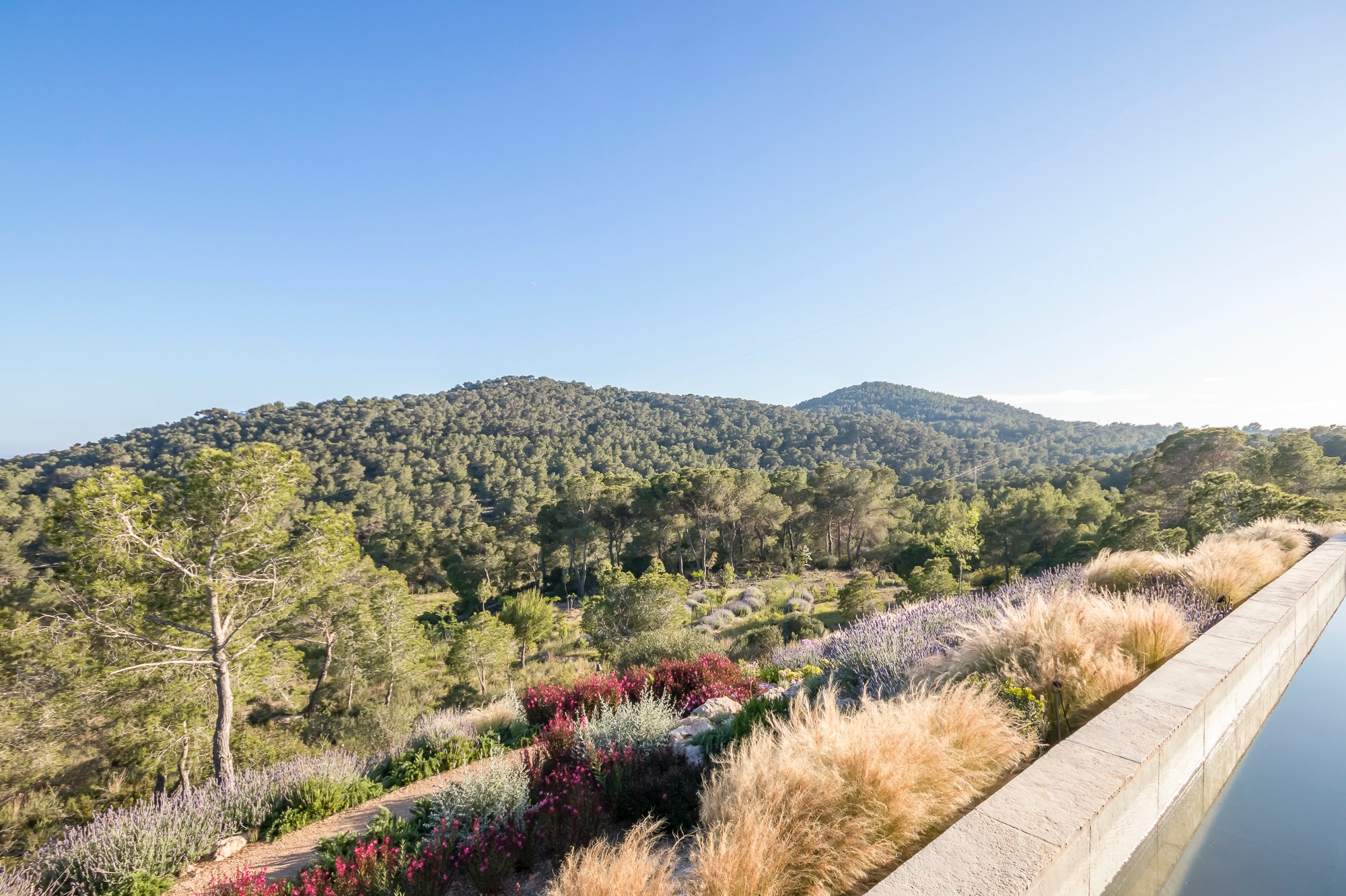 Landscaped gardens and pathways